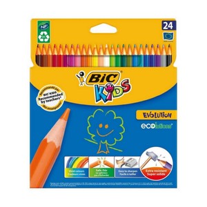 BİC EVOLUTİON KURU BOYA 24 RENK KARTON KUTU (929733)