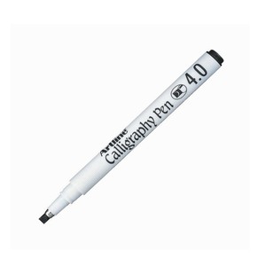 ARTLİNE ERG-244 KALİGRAFİ KALEMİ 4mm SİYAH