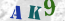 Güvenlik Resmi